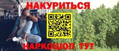 прущие грибы Заводоуковск