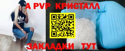 прущие грибы Заводоуковск