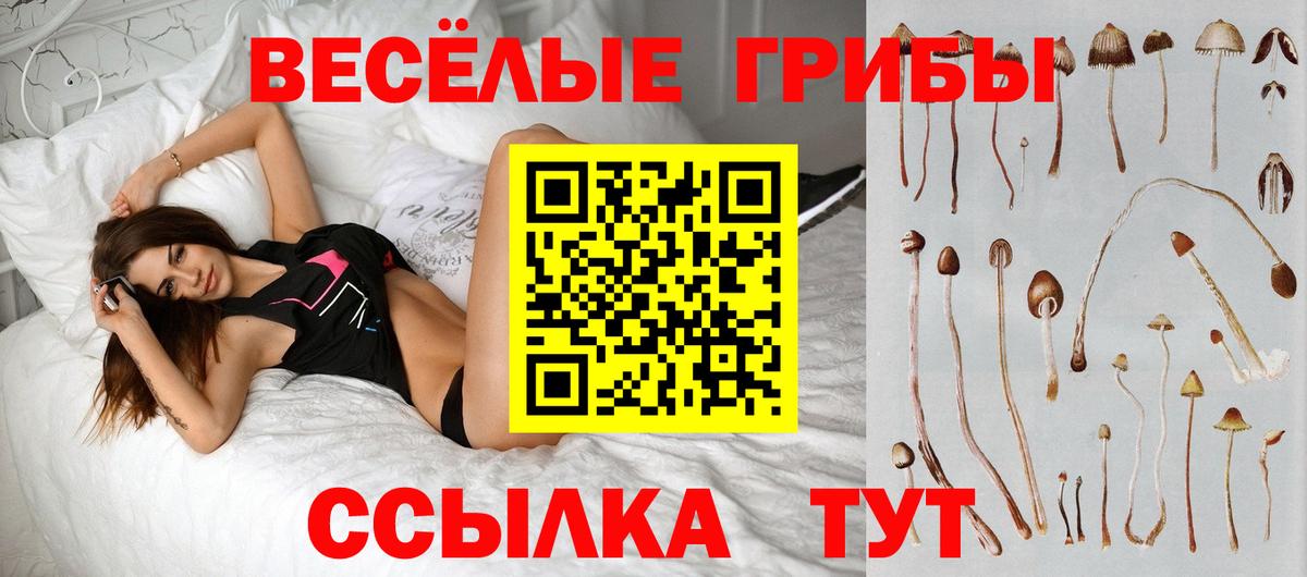 Псилоцибиновые грибы Magic Shrooms Чусовой